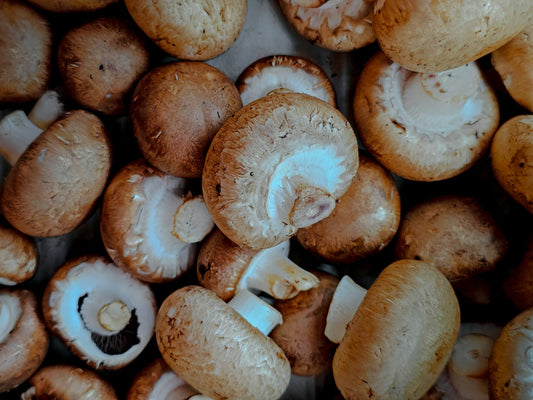 Mushroom