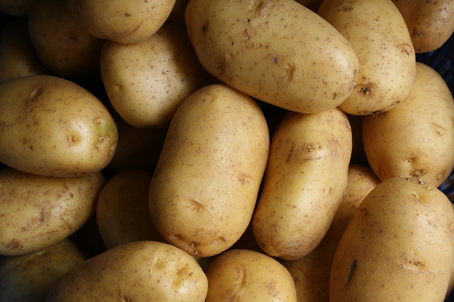 Potatoes 10lbs