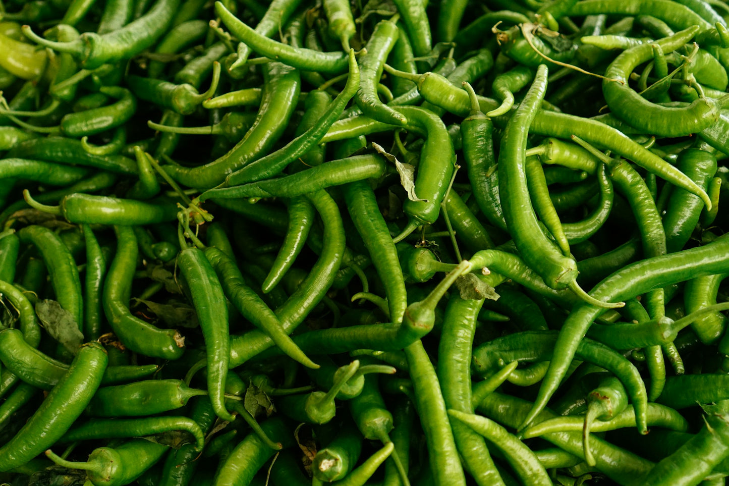 Thai Chilli