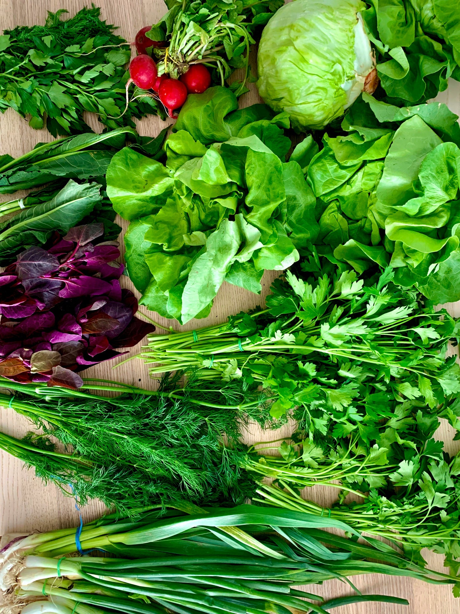 Herbs & Greens