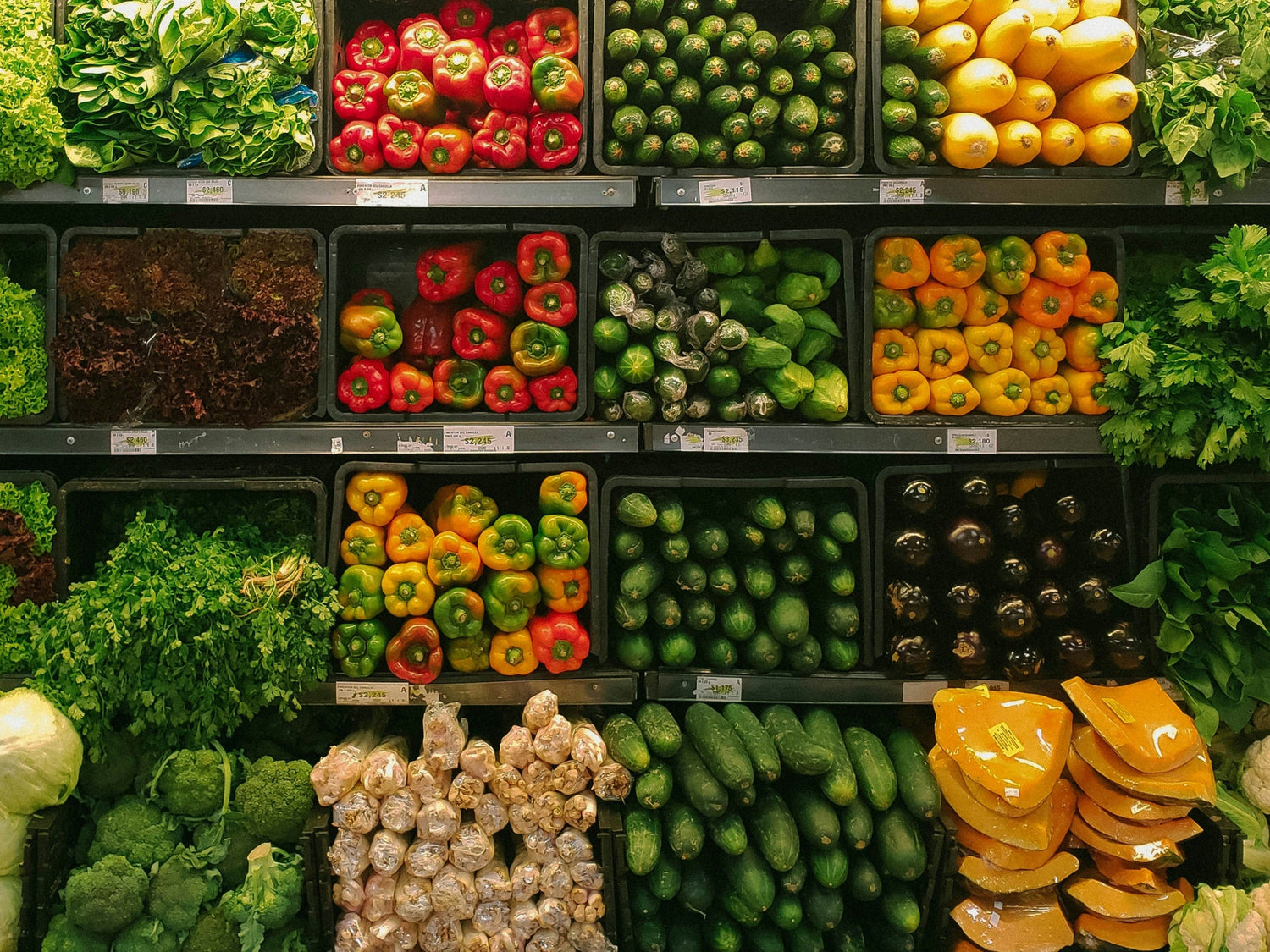 Fresh Vegetables
