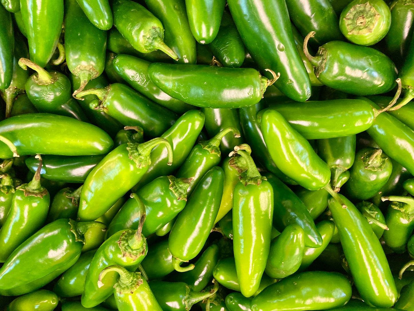 Jalapeño