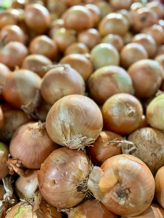 Yellow Onions (10 lb)
