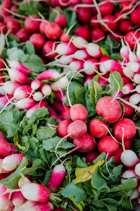 Radish (Bag)