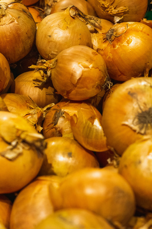 Yellow Onions (10 lb)