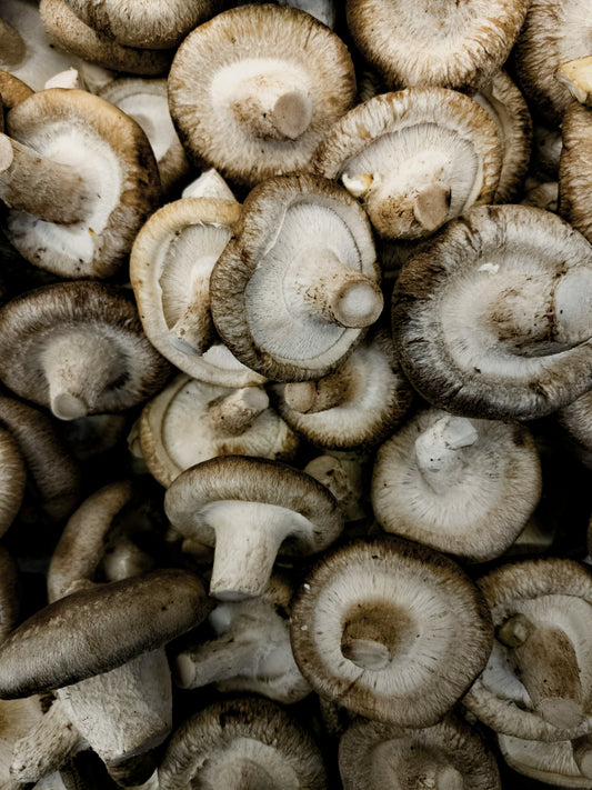 Mushroom