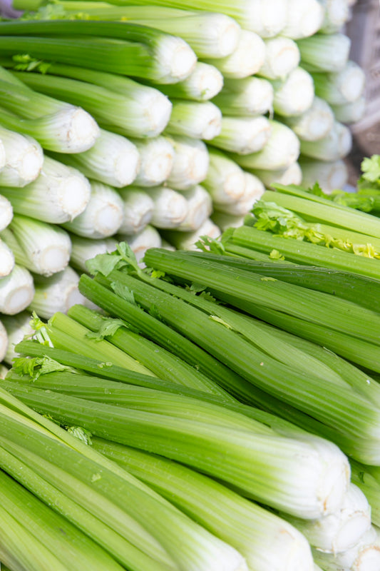 Celery